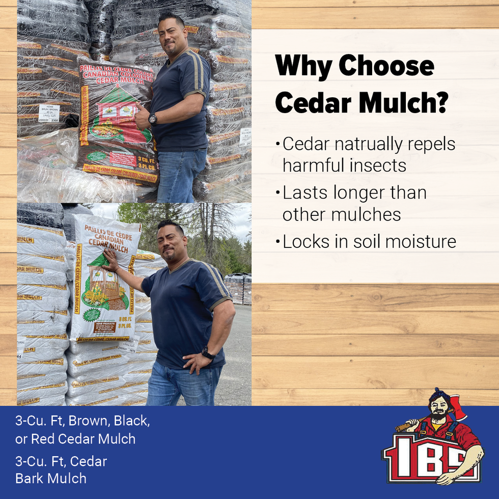 Cedar Mulch ad