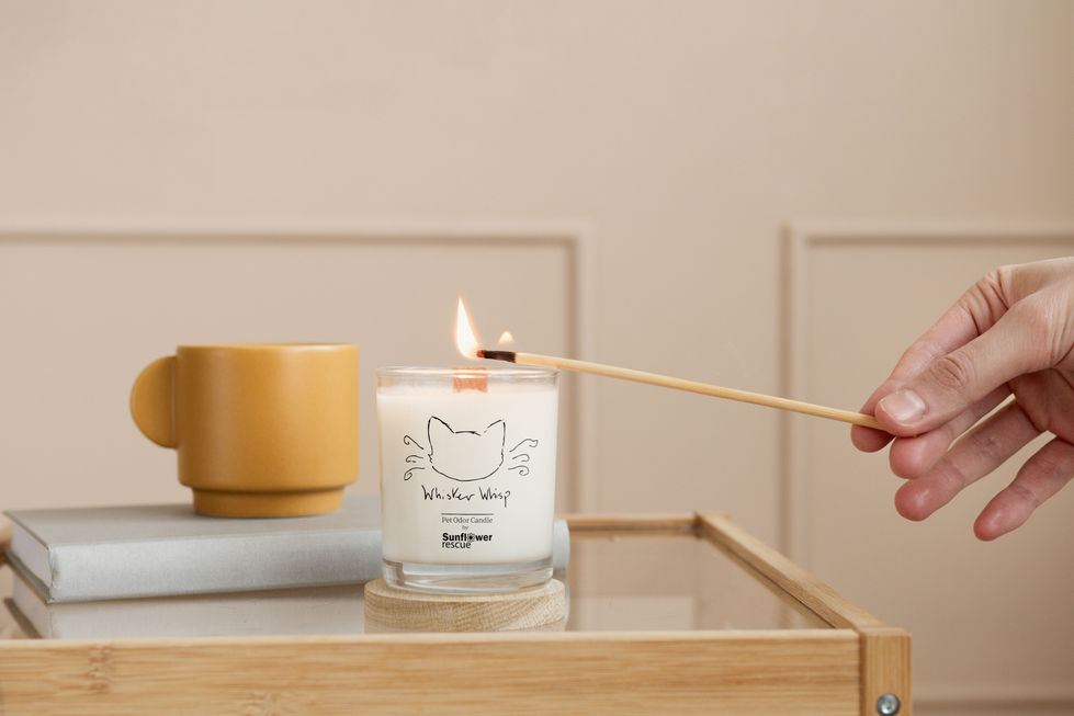 Candle Mockup