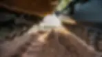 Thumbnail: Firminator RT