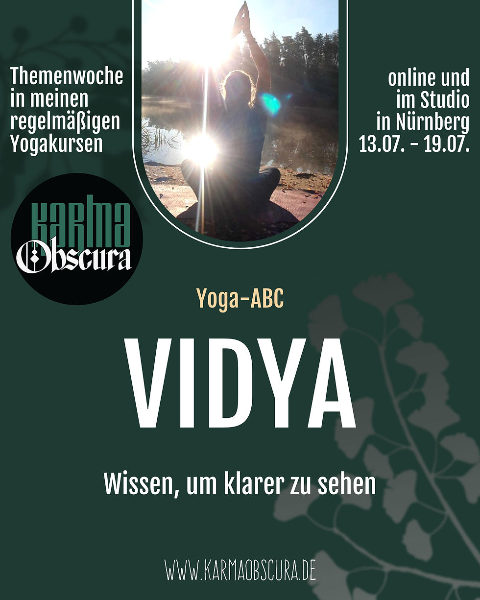 Vidya - Das wissen