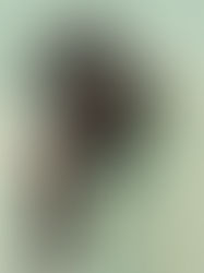 Tobe Nwigwe Proves God Can with Release of Reebok x Chukwu Collection