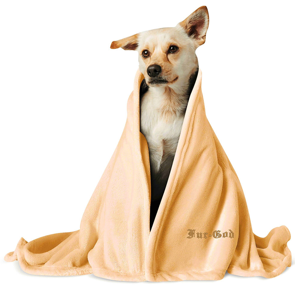 Thumbnail: Posh Pup Pet Blanket | "Fur God" Gold