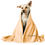 Thumbnail: Posh Pup Pet Blanket | "Boss Hound"