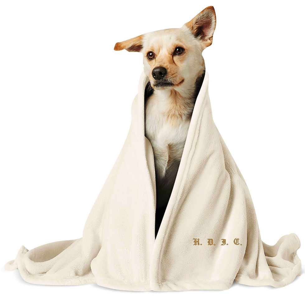 Thumbnail: Posh Pup Pet Blanket | "H.D.I.C." Gold