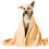 Thumbnail: Posh Pup Pet Blanket | "Fur-ever Fresh"