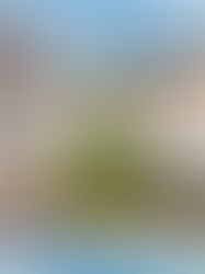 What Are Sacred Tools for Living? Transform Your Life with Intentional Practices