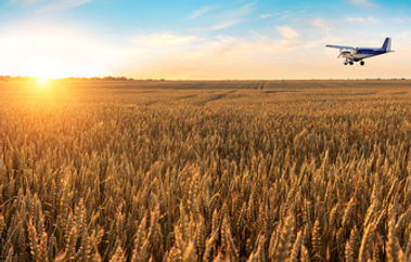 Plane Over Corn.jpg