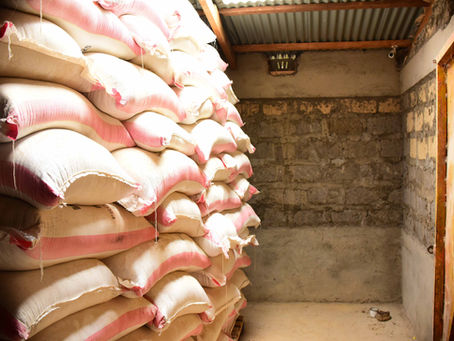 The Cash Cycle Explained: How Money Really Moves in Kenyan Agri Supply Chains