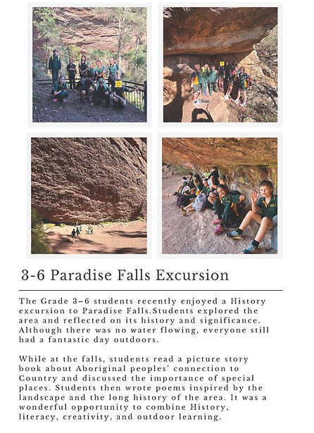 newsletter Paradise Falls T2, W6, 2026 - Website Edited.jpg