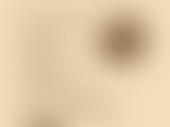 The Beauty of Sourdough Bread: Why It Matters