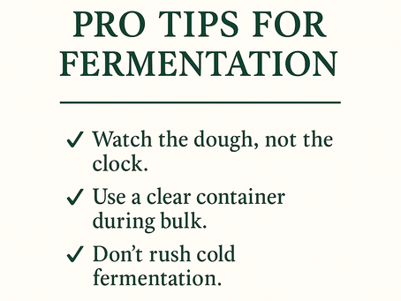 The Art of Fermentation: Understanding Bulk and Cold Fermentation in Sourdough