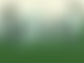 Dossier: le financement des films québécois