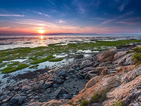 Films et séries télévisées tournés dans le Bas-St-Laurent