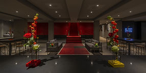 cinema du musee_2.jpg