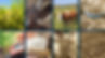 FOTO SOFTWARE.jpg