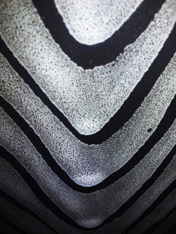 Soriano_Sergio_Per3_Breadth_Shape