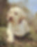 8EC542CC-3E8A-4A70-BCAF-E505736FDDD7.jpeg