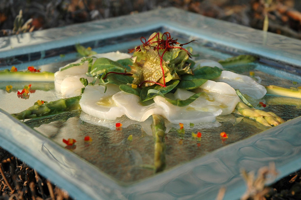 t---carpaccio-de-saint_1720