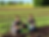 image-home.png