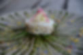 t---dariole-de-saint-jacque_1720.jpeg