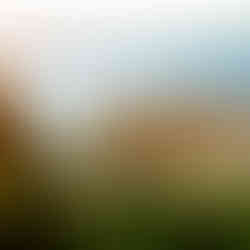 Karte Blanche & Co Cabana Summer issue 2025