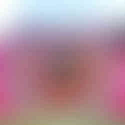 Karte Blanche & Co Living Well Luxury, Travel and Lifestyle August 2024 issue Hawaii Island Aloha