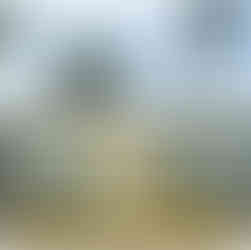 Karte Blanche & Co Cabana Summer issue 2025