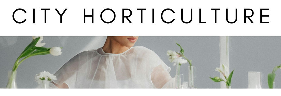 Mid-winter Modernism Week Palm Springs February 2024 Karte Blanche & Co sips & sights