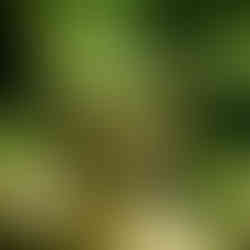 Karte Blanche August 2023 Hello to Hollywood issue