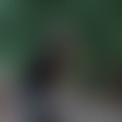 Exhibition Notes on Zones of Estrangement