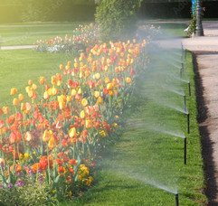 AdobeStock_199603954_Preview_edited.jpg
