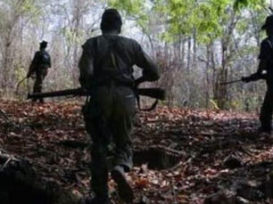 22 Naxalites arrested, explosives seized in Chhattisgarh
