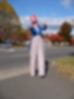 Uncle Sam
