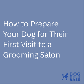 How to Prepare Your Dog for Their First Visit to a Grooming Salon
