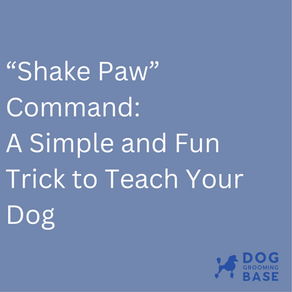 “Shake Paw” Command A Simple and Fun Trick to Teach Your Dog