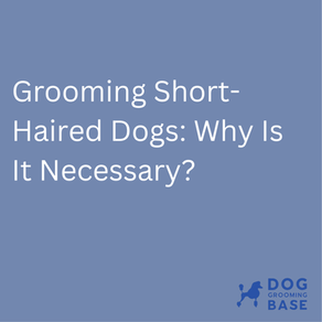Grooming Short-Haired Dogs Why Is It Necessary