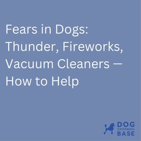 Fears in Dogs Thunder, Fireworks, Vacuum Cleaners-How to Help