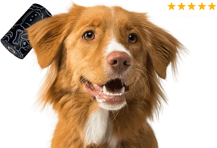 home hero rescute dog good rating