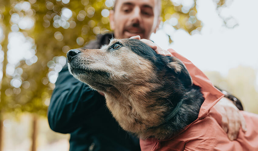How Loving a Stray Can Change the Way You See the World