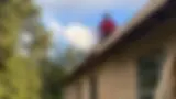 460390304_9158651364150796_6107367101098564161_n.webp
