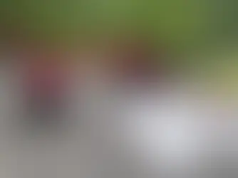 The Ultimate Guide to Professional Roof Installation: Everything Homeowners Need to Know