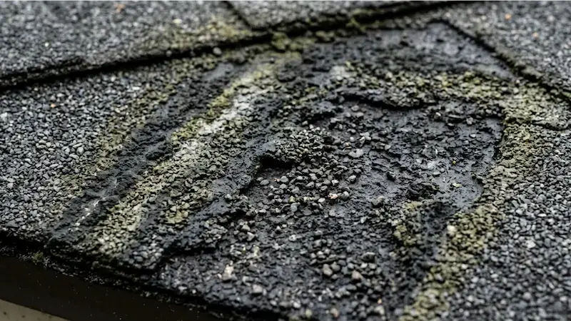 blog-asphalt shingles showing the granular surface being eroded by algae