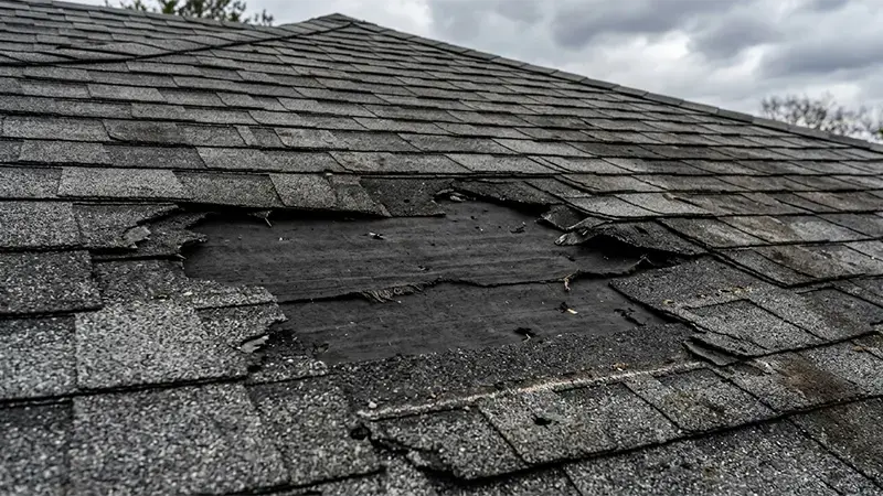 Close-up of an asphalt shingle roof with several missing shingles, exposing the dark underlayment, indicating wind damage
