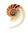 Meu Saber Holistico