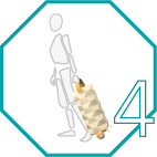 PAVILIONRecurso 49.png