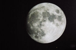 セレストロンＣ－８