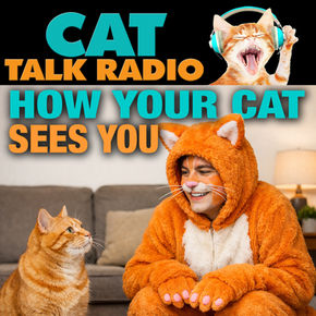 Your Cat Doesn’t See You as the Boss—Here’s What the Science Says