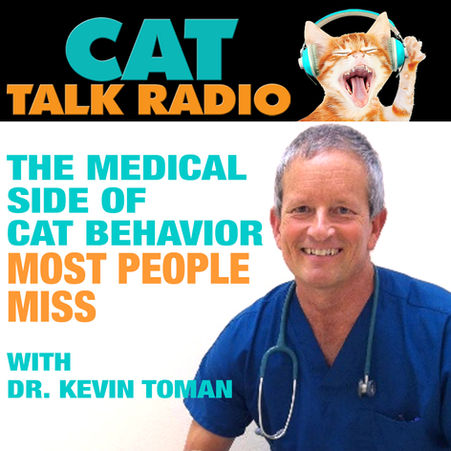Is It Behavior… or Pain? The Hidden Medical Reasons Behind Cat Behavior Problems