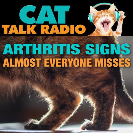 Arthritis in Cats: It's Not Just Old Age