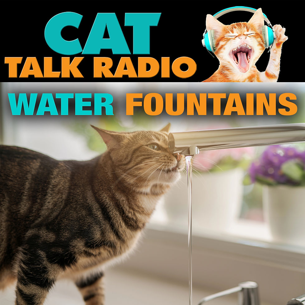 Water Fountains for Cats: Do They Really Help?